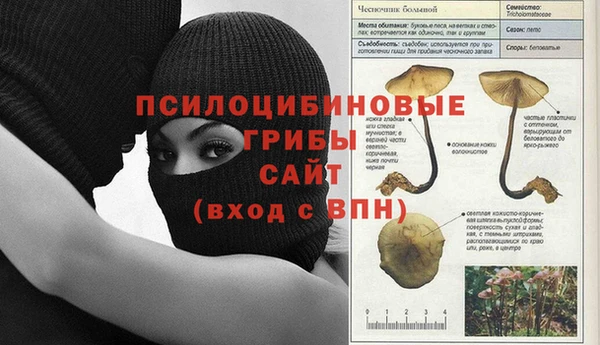 дурь Абинск