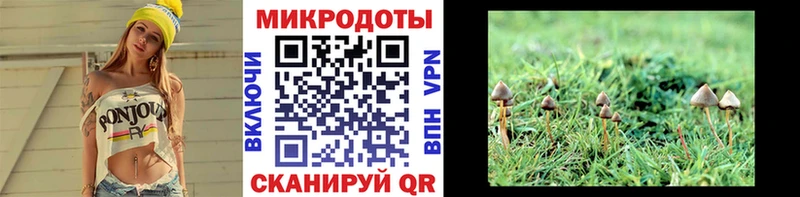 omg   Карачев  Галлюциногенные грибы Psilocybine cubensis 